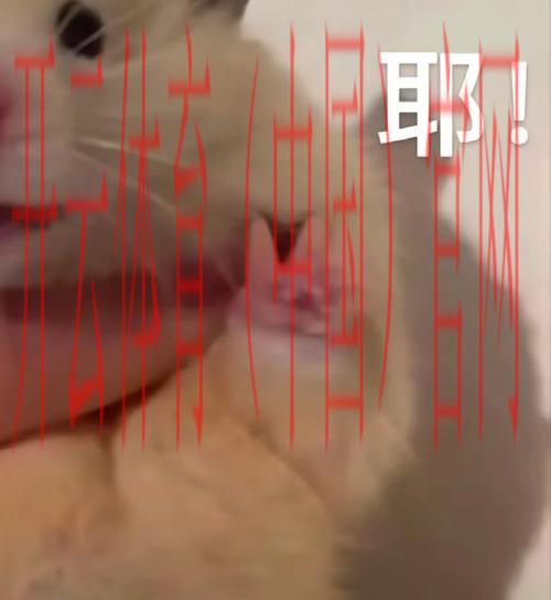 开云体育登录奖励,开云平台充值后获得登录额外红包奖励