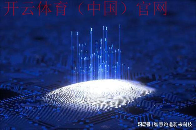 开云体育平台在线，如何通过平台玩转体育世界？