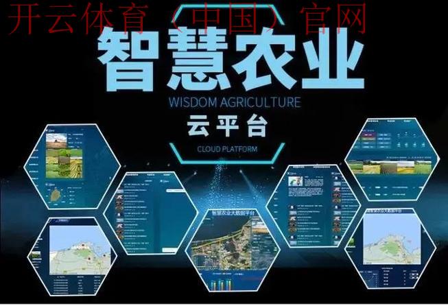 开云app，打造智能化生活新体验